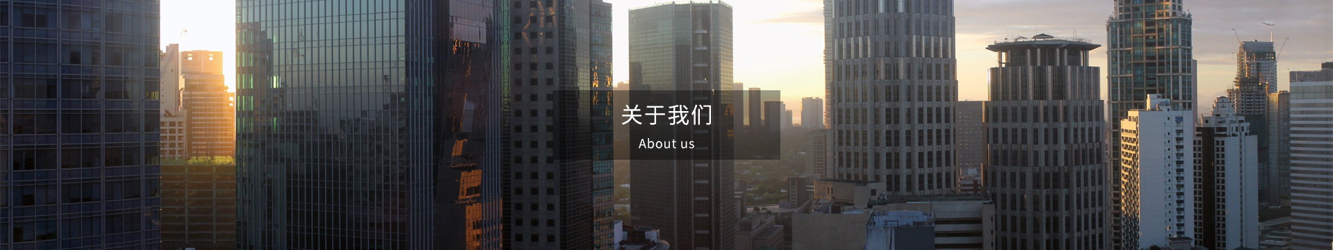 公司简介