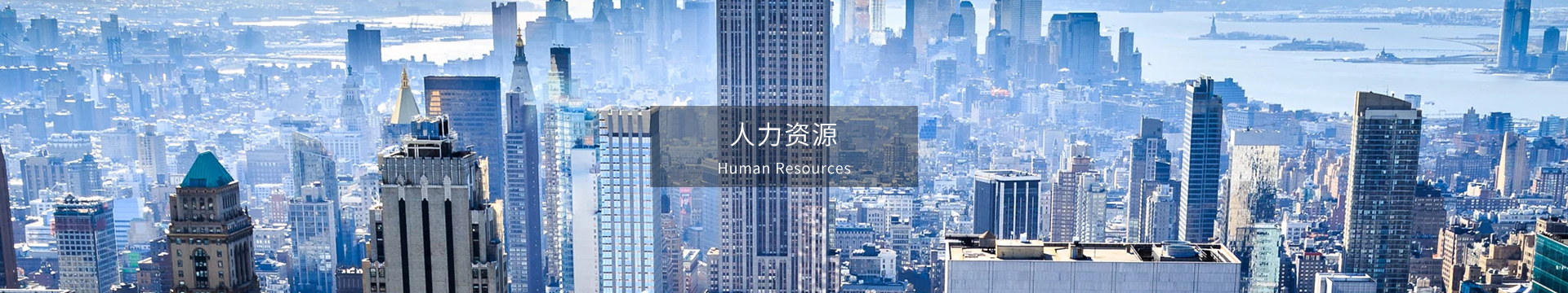 人才理念